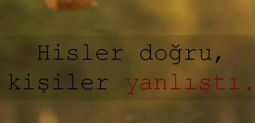 En güzel WhatsApp durum sözleri | İngilizce WhatsApp durumları - 2018