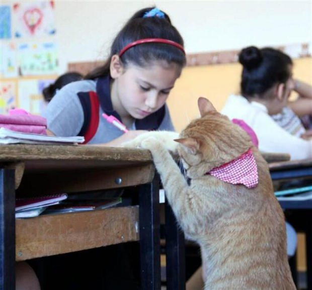 Pasaport tamam! İsviçre'ye gidiyor