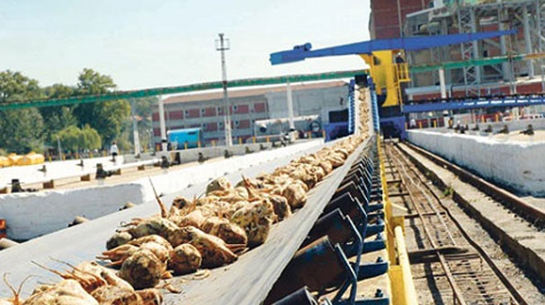 Özelleştirme Ne Demek, Ne Anlama Geliyor | Şeker Fabrikaları Neden Özelleştiriliyor