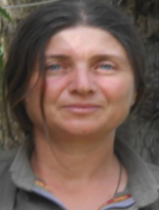 Bingöl'de Gri Listede Yer Alan Terörist Öldürüldü