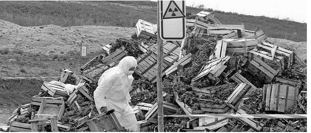 Nükleer Santral nedir? Nasıl çalışır? Faydaları ve Zararları nelerdir? Maliyeti nedir?