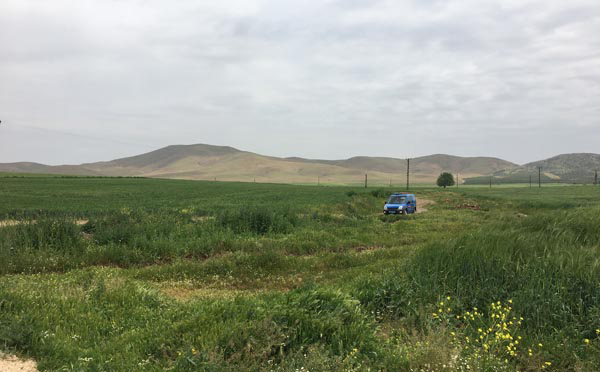 Gaziantep'de Hareketli Anlar! Buğday Tarlasında Bulunan Cisim İmha Edildi