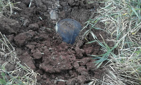 Gaziantep'de Hareketli Anlar! Buğday Tarlasında Bulunan Cisim İmha Edildi