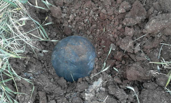 Gaziantep'de Hareketli Anlar! Buğday Tarlasında Bulunan Cisim İmha Edildi