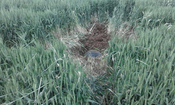 Gaziantep'de Hareketli Anlar! Buğday Tarlasında Bulunan Cisim İmha Edildi