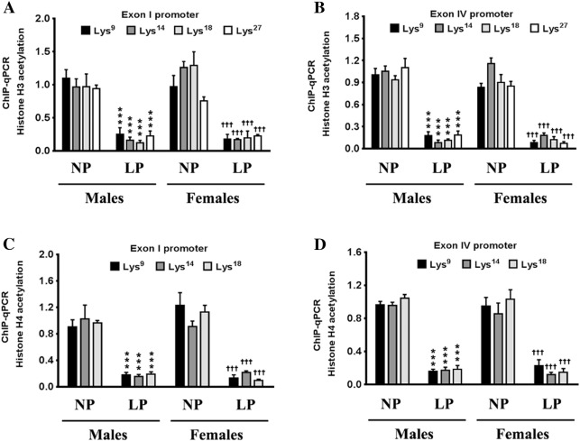 4A, 4B, 4C Statüsü Nedir | Taşerondan Kadroya Geçiş Nasıl Olacak 