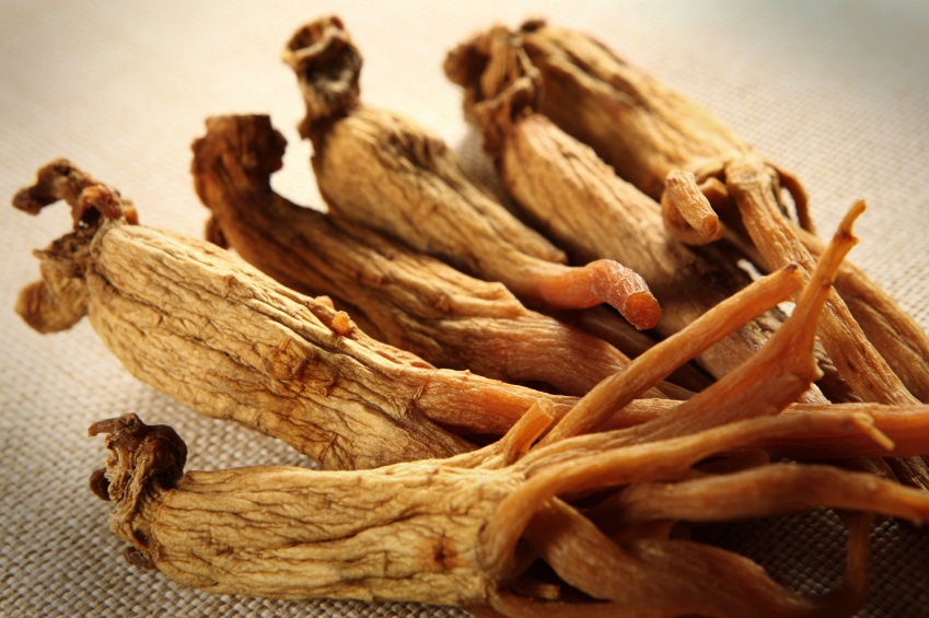 Ginseng nedir? Ginsengin faydaları nelerdir?