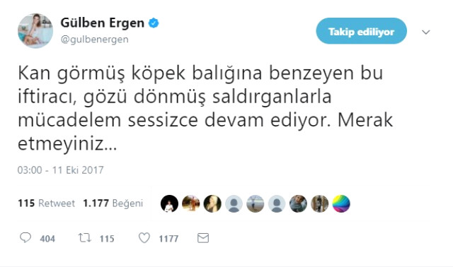 gulben-ergen-den-erhan-celik-e-agir-benzetme-10122106_7143_m.jpg