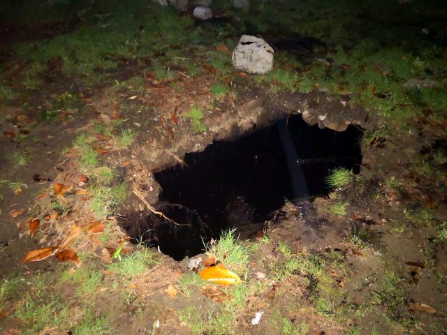 Kediyi kurtarmak için fuel-oil dolu kuyuya atladı