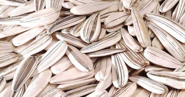 Ay çekirdeğinin faydaları nelerdir? Çekirdek çitlemenin faydaları nelerdir?