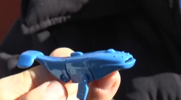 Sürpriz Yumurtadan Mavi Balina Çıktı Savcılığa Gitti