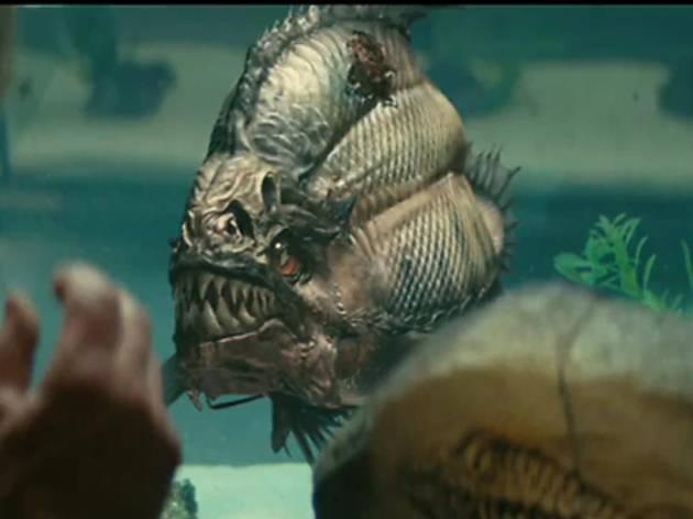 Pirana filminin konusu nedir? Oyuncuları kimdir? Nerede ve kaç yılında çekildi?