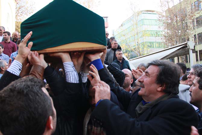 img_0951.jpg img_0951.jpg