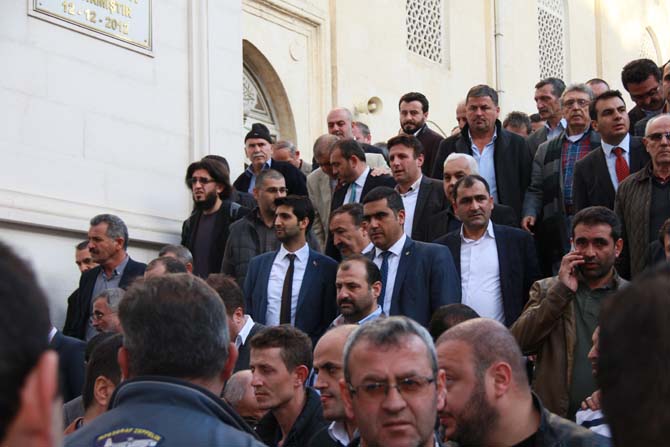 img_0976.jpg img_0976.jpg