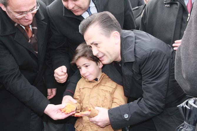 img_3446.jpg img_3446.jpg