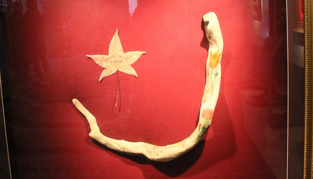 img_3761.jpg img_3761.jpg