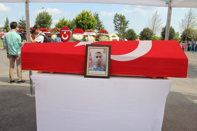 img_6081.jpg img_6081.jpg