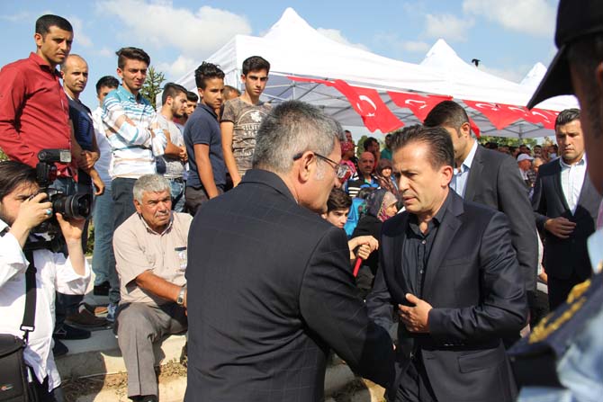 img_6207.jpg img_6207.jpg