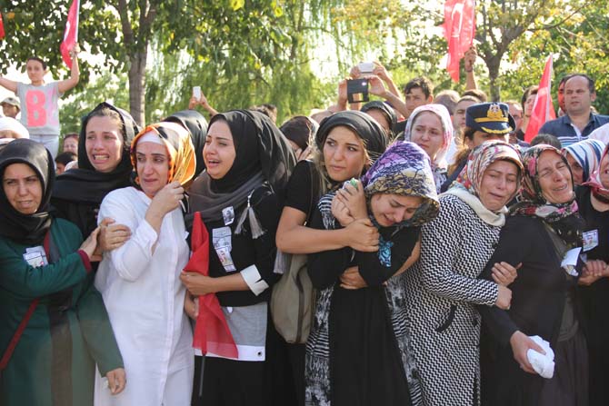 img_6578.jpg img_6578.jpg