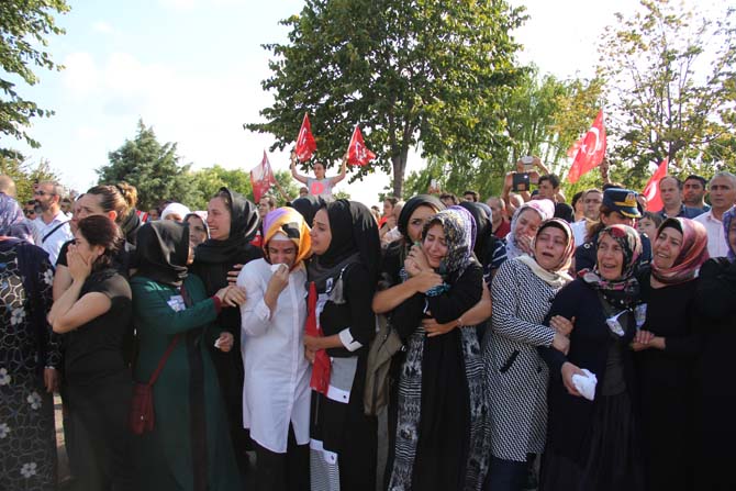 img_6583.jpg img_6583.jpg