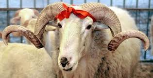 kURBAN BAYRAMI TARİHİ