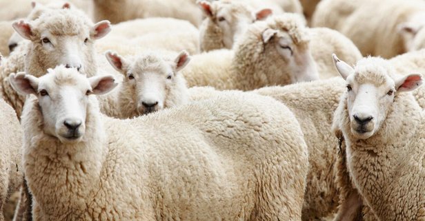 Kurban Bayramı'nda PTT açık mı?