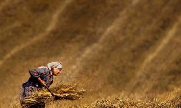 Dünya Çiftçiler Günü ne zaman? Dünya Çiftçiler Günü kutlama mesajları, sözleri