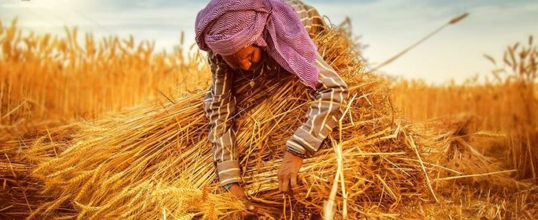 Dünya Çiftçiler Günü ne zaman? Dünya Çiftçiler Günü kutlama mesajları, sözleri