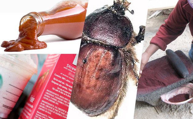 Bu gıdaları tükkettiyseniz defalarca böcek yemiş olabilirsiniz!