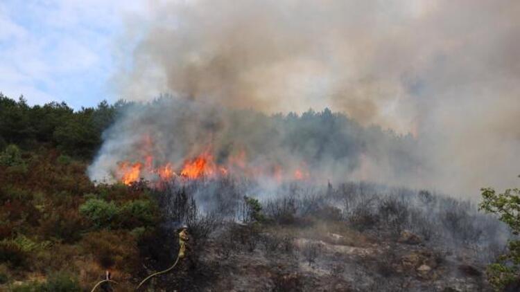 Kartal Aydos'ta orman yangını!