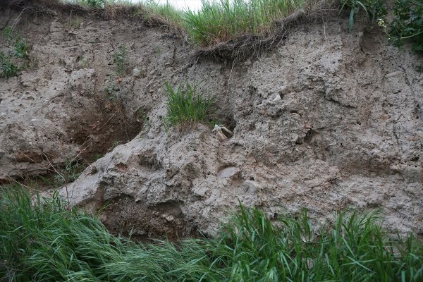 Denizli'deki Yağış İnsan Kemiklerini Ortaya Çıkardı 