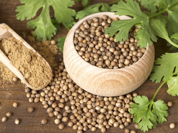 Kişnişin faydaları ve zararları nelerdir? Neye iyi gelir?