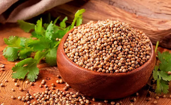 Kişnişin faydaları ve zararları nelerdir? Neye iyi gelir?