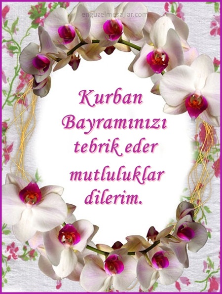 Kurban Bayramı mesajları 2022 | Resimli, güzel ,kısa, uzun Kurban Bayramı tebrik, kutlama mesajları