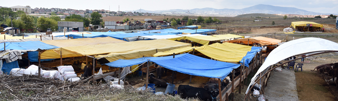 Tuzla Kurban Bayramı için çalışmalarına devam ediyor