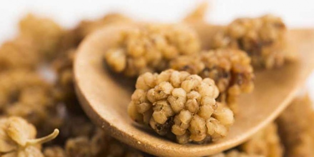 Çağımızın önemli hastalıklarının başında olan stres ve kanser çeşitlerine karşı bünyeyi koruyucu özelliği olan bademin insan sağlığına daha birçok faydası bulunmaktadır. Son derece yüksek besin değerine sahip olan bademin faydaları nelerdir? Badem neye iyi gelir? Badem hangi hastalıklara iyi gelir? Çiğ badem mi kavrulmuş badem mi yemelidir? BADEM NEDİR? Badem daha çok Türkiye, İran, Suudi Arabistan, Lübnan, Suriye, Ürdün ve İsrail gibi ılıman iklimlerin olduğu ülkelerde yetişir. Tatlı ve acı badem olarak ikiye ayrılır. Acı badem badem yağı, yemeklere lezzet katmak için kullanılmaktadır. Tatlı badem ise genelde çiğ olarak tüketimektedir. Bademin bir yan ürünü olan badem sütü aynı zamanda lezzetli bir içecek ve inek sütüne alternatif besindir. Badem son derece yüksek besin ihtiva eder. E vitamini, kalsiyum, fosfor, demir ve magnezyum açısından zengin bir kaynaktır. Ayrıca, çinko, selenyum, bakır ve niasin içerir. Diğer bütün türleriyle karşılaştırıldığıda besin değerleri ve faydalı bileşenleri ile ön plana çıkmaktadır. BADEMİN FAYDALARI NELERDİR? NEYE İYİ GELİR? Cildi koruyor Güneşten gelen ultraviyole ışınlar ile oksidatif stres cilde hasar verip erken yaşlanmaya neden olurken, bademde bulunan E vitamini antioksidan içeriği ile serbest radikallerle savaşarak cildi koruyor. Kalp hastalığı riskini azaltıyor Kanda kötü kolesterol (LDL) seviyesinin yüksek olması kalp-damar hastalıkları riski ile ilişkilendiriliyor. Her gün yaklaşık 20 adet badem, kötü kolesterolü belirgin şekilde düşürüyor, bu da kişilerin kalp hastalığı riskini azaltıyor. Zayıflamaya yardımcı oluyor Badem karbonhidrattan fakir, yağ ve posadan zengin olması nedeniyle tok tutma özelliğine sahip. Yağ ve posa içeriği ile kan şekerini dengede tutmak, tokluk sağlamak ve kabızlığı önlemek gibi etkileriyle kilo kontrolüne yardımcı oluyor. Kan şekerini düzenliyor Badem karbonhidrattan fakir posadan ve yağdan zengin olması sebebi ile tokluk süresini uzatıyor. Ayrıca meyve gibi karbonhidrat içeren yiyeceklerin yanında badem tüketilmesi kan şekerindeki ani dalgalanmaları önlüyor. Kan basıncını düşürüyor Beslenme ve Diyet Uzmanı Nur Ecem Baydı Ozman “Yapılan çalışmalar magnezyum eksikliğinde kan basıncının yükseldiğini ortaya koyuyor. Yüksek kan basıncı ise kronik hipertansiyona neden olabildiği gibi, kalp krizi ve inmeye de yol açabiliyor. Badem içeriğindeki magnezyum ile magnezyum eksikliğinin giderilmesine yardımcı olurken, bu risklere karşı koruyor. Ancak kan basıncını yükseltmemesi için tuz ile kavrulmamış çiğ olanlarının tercih edilmesi gerekir” diyor. Kabızlığa iyi geliyor Yağlı yiyecekler bağırsaklardaki kasların kasılıp gevşemesine yardımcı olarak bağırsak hareketlerinin artmasına neden olur. Posadan zengin yiyecekler ise bağırsağa su çekerek bağırsak hareketlerini artırıyor. Badem, içeriğinde bulunan yağlar ve posa sayesinde kabızlığa iyi geliyor. Kemikleri güçlendiriyor Kemik sağlığı için yeteri kadar kalsiyum ve magnezyum tüketimi önemli. Özellikle süt ve yoğurt tüketmeyen ya da vegan kişilerde badem tüketimi magnezyum ve kalsiyum içeriği ile eksikliklerin giderilmesine yardımcı olarak kemikleri güçlendiriyor. Damar sertliğini önlüyor Kötü kolesterolün (LDL) yüksek olması damar sertliğine neden olurken, damar sertliği ise kalp krizi ve inme gibi durumlara yol açabiliyor. Badem E vitamini içeriği ile damar sertliğini önlemeye yardımcı oluyor. Kansere karşı koruyor Beslenme ve Diyet Uzmanı Nur Ecem Baydı Ozman “Badem kilo kontrolüne yardımcı olması, antioksidan içeriği ve posa içeriği sayesinde kansere karşı koruyucudur. Hayvanlarla yapılan çalışmalarda badem tüketmenin kolon kanserine karşı koruyucu olabileceği belirtilmiştir” diyor. ÇİĞ BADEM Mİ KAVRULMUŞ BADEM Mİ? Kavrulmamış Tuzsuz Badem 1 avuç 25 gram 143 kalori (çiğ badem) Kavrulmuş Tuzlu Badem 1 avuç 25 gram 150 kalori Protein, lif, E ve B vitaminleri ile mineraller açısından oldukça zengin olan badem, yağ içeriği ve kalorisi yüksek besinlerden biri. Bakalım kalorileri birbirine yakın olan kavrulmamış tuzsuz badem ile kavrulmuş tuzlu badem arasında ne gibi farklar var? –Kavrulmamış tuzsuz bademin lif içeriği kavrulmuş tuzlu bademe göre daha fazladır. –Kavrulmuş tuzlu badem kavurma işlemi sırasında ısıya maruz kaldığından besin değerlerinde kayıplar yaşanır. –Kavrulmuş tuzlu bademin raf ömrü çiğ bademe göre daha uzundur. –Kavrulmuş bademin kavrulurken aldığı ısı sağlıklı yağların hasar görmesine sebep olur. –Çiğ bademin bakteri bulundurma riski kavrulmuş bademe göre daha fazladır. –Badem kavrulduğu zaman içerisindeki nemi kaybeder. Oluşan nem farkından dolayı gram başına düşen yağ miktarı çiğ bademe kıyasla kavrulmuş bademde daha fazladır. –Tansiyon sorunu olanlar içerdiği tuz miktarından ötürü kavrulmuş bademi değil, çiğ bademi tercih etmelidirler.