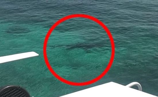 Genç kız çığlık çığlığa can verdi! Herkes olanları izledi