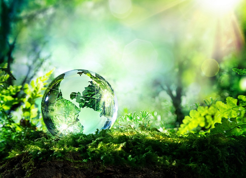 Dünya tasarruf günü nedir? Tasarruf haftası ne zaman? Dünya tasarruf günü etkinlikleri