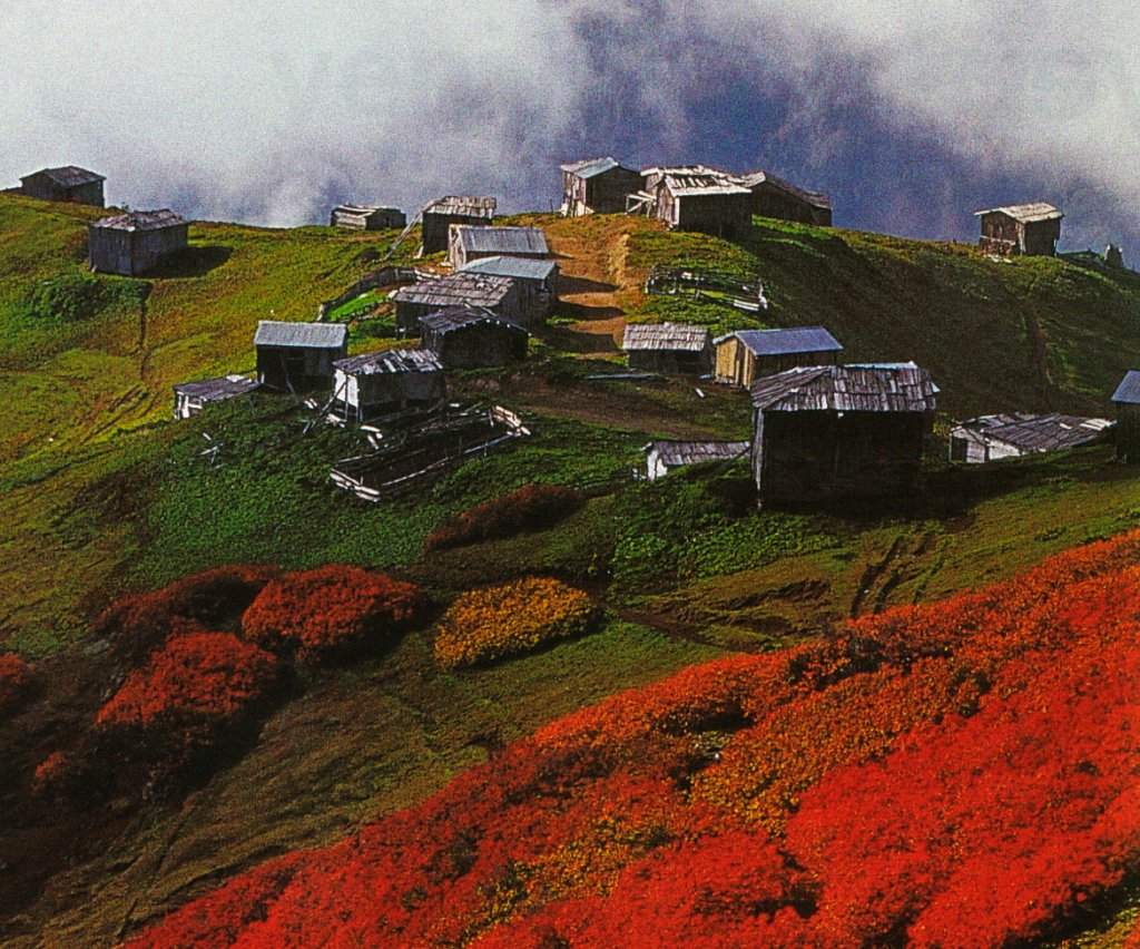 Artvin Tanıtım Günleri Maltepe Sahilde Başladı