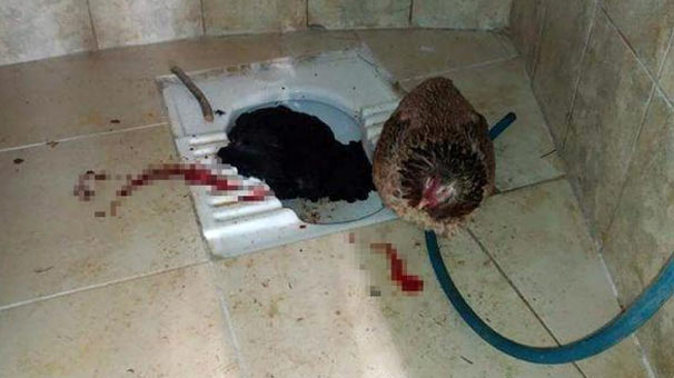 Mezarlık tuvaletinde şok | Biri kesilmiş diğeri kanlar içinde..