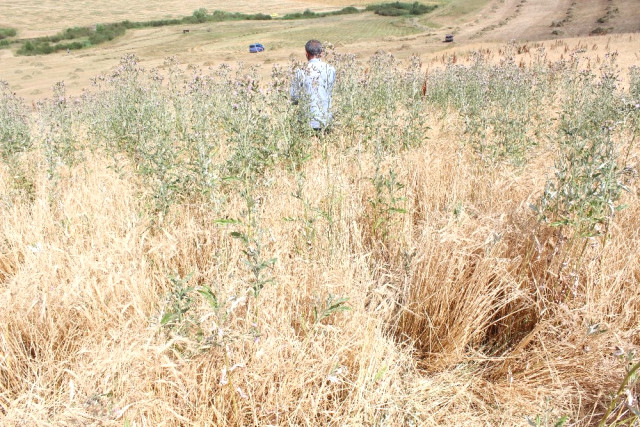 Türkiye'yi ağlatan Leyla cinayetinde yeni gelişme! Elbiseleri bulundu