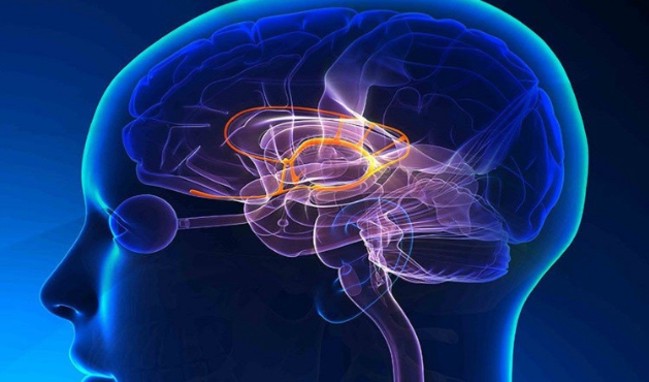 Serdat Ortaç'ın hastalığı nedir? MS hastalığı nedir? Tedavisi var mı?