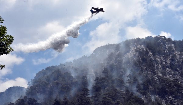 Muğla'da dün başlayan orman yangını hala etkisini gösteriyor
