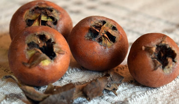 Muşmulanın faydaları nelerdir, neye iyi gelir?