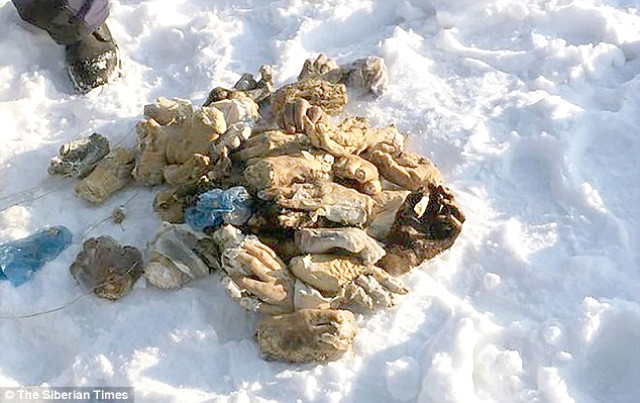 Rusya'da Nehir Kenarındaki Çantadan 27 Çift İnsan Eli Çıktı