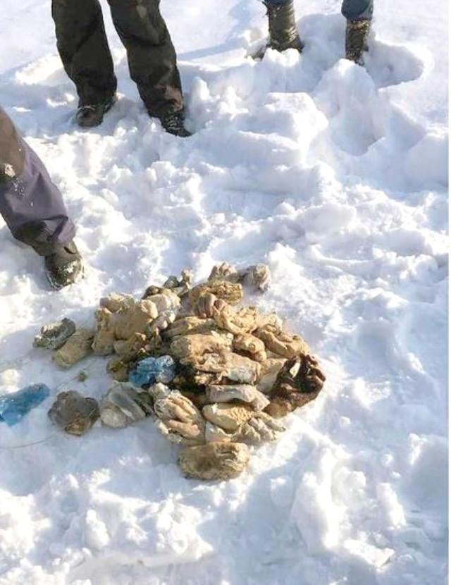 Rusya'da Nehir Kenarındaki Çantadan 27 Çift İnsan Eli Çıktı