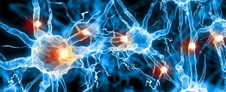 Nöroloji ne demek? Nöroloji nedir? Hangi hastalıkları kapsar? 