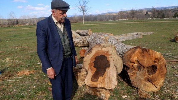 Ağaç gövdesinden kadın silüeti çıktı