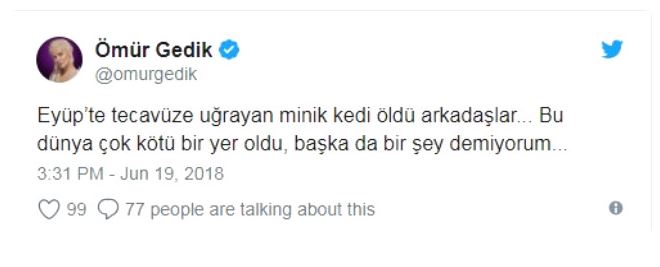 Yavru kediye tecavüz eden adam Türkiye'yi yeniden kahretti