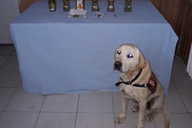 Uşak’ta 412 gram esrar ele geçirdi